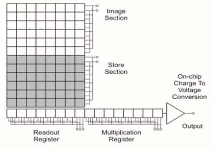 Digital Camera Fundamentals - Andor