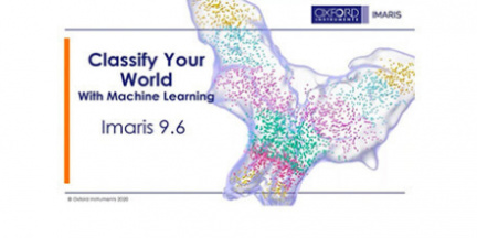 New version of IMARIS analytical software 9.6.0