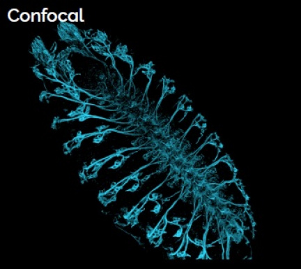 Confocal mode