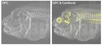 DPC + konfokál