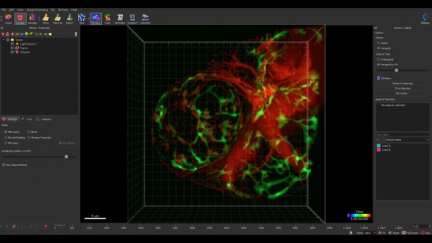 Analytický software Imaris Core